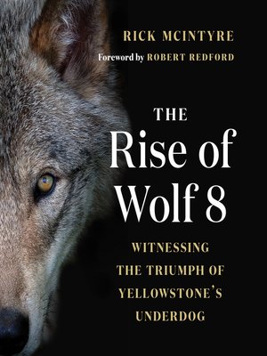cover image of The Rise of Wolf 8